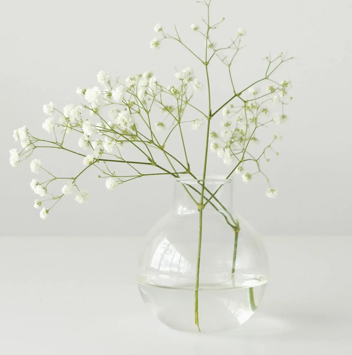 vase